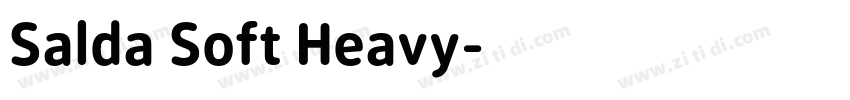 Salda Soft Heavy字体转换